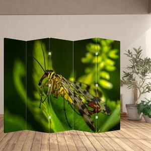 Paravan - Insekti (210x170 cm)