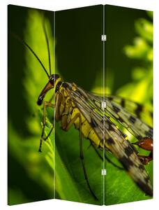 Paravan - Insekti (126x170 cm)