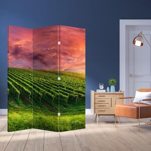 Paravan - Vinograd sa šarenim nebom (126x170 cm)