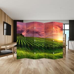 Paravan - Vinograd sa šarenim nebom (210x170 cm)