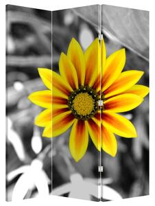 Paravan - Žuti cvijet (126x170 cm)