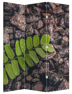 Paravan - Zelena biljka (126x170 cm)