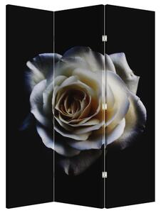 Paravan - Bijela ruža (126x170 cm)