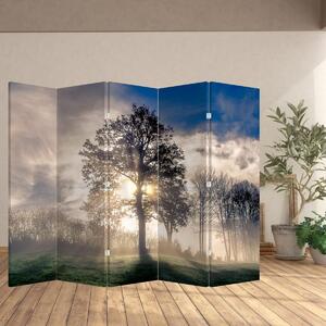 Paravan - Drvo u magli (210x170 cm)