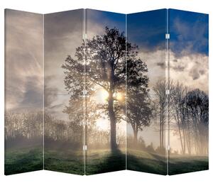 Paravan - Drvo u magli (210x170 cm)
