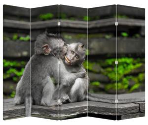 Paravan - Majmun (210x170 cm)