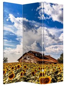 Paravan - Polje suncokreta (126x170 cm)