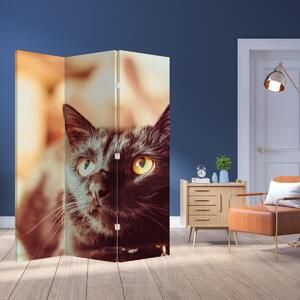 Paravan - Crna mačka (126x170 cm)