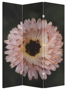 Paravan - cvijet naranče (126x170 cm)