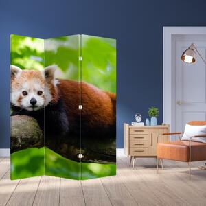 Paravan - Panda crvena (126x170 cm)