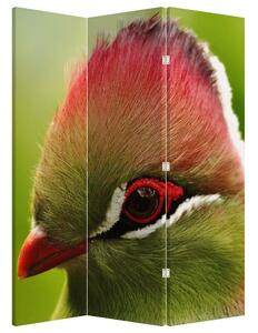 Paravan - Šarena ptica (126x170 cm)