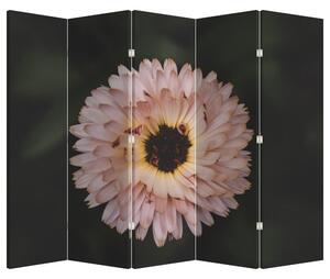 Paravan - cvijet naranče (210x170 cm)