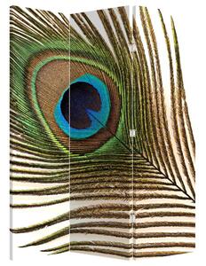 Paravan - paunovo perje (126x170 cm)