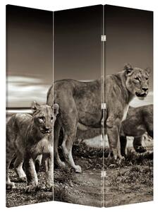 Paravan - Crni i bijeli lavovi (126x170 cm)