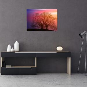 Slika drveća u magli (70x50 cm)