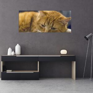 Slika mačke (120x50 cm)