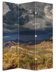 Paravan - Kaktusi u prirodi (126x170 cm)