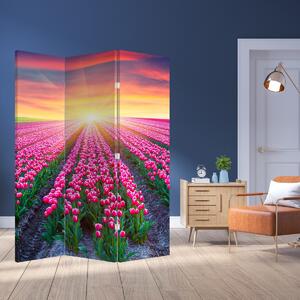 Paravan - Polje tulipana sa suncem (126x170 cm)
