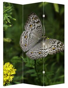 Paravan - Bijeli leptir (126x170 cm)
