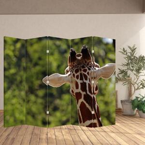 Paravan - žirafa odostraga (210x170 cm)