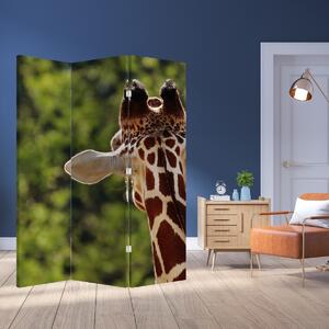Paravan - žirafa odostraga (126x170 cm)