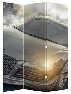 Paravan - Auto Audi - sivi (126x170 cm)