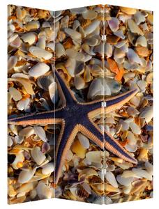 Paravan - morska zvijezda (126x170 cm)