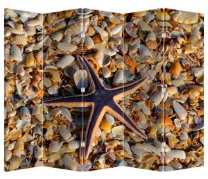 Paravan - morska zvijezda (210x170 cm)