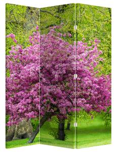 Paravan - rascvjetalo drvo na livadi (126x170 cm)