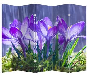 Paravan - Cvijeće na kiši (210x170 cm)