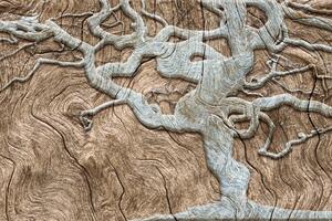Tapeta apstraktno stablo na drvu u bež dizajnu