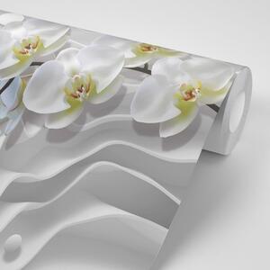 Tapeta orhideja na apstraktnom pozadini