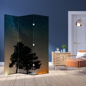 Paravan - Noćno nebo s drvećem (126x170 cm)