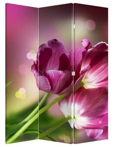 Paravan - Ružičasti tulipani (126x170 cm)