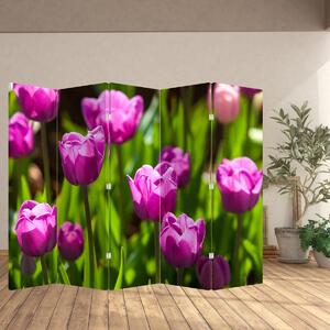 Paravan - Tulipani na livadi (210x170 cm)