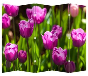 Paravan - Tulipani na livadi (210x170 cm)