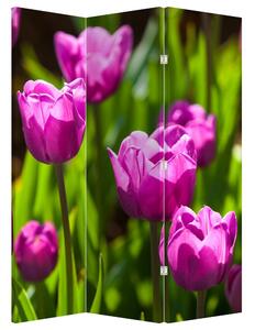Paravan - Tulipani na livadi (126x170 cm)