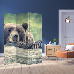 Paravan - Medvjed (126x170 cm)