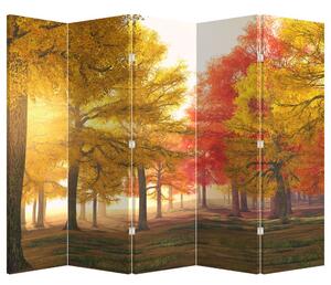 Paravan - Jesenje drveće (210x170 cm)
