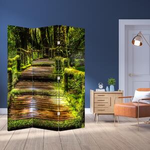 Paravan - Stepenice u prašumi (126x170 cm)