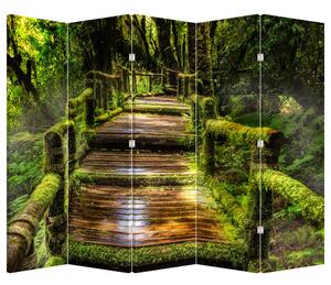 Paravan - Stepenice u prašumi (210x170 cm)