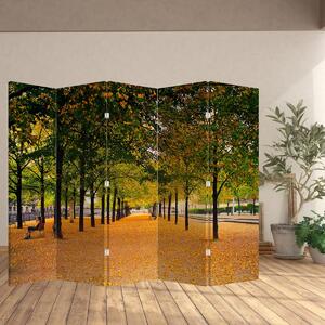Paravan - Aleja jesenskih stabala (210x170 cm)