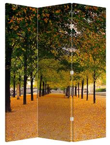 Paravan - Aleja jesenskih stabala (126x170 cm)