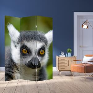 Paravan - lemur (126x170 cm)