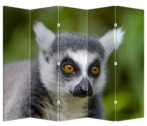Paravan - lemur (210x170 cm)