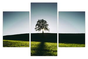 Slika prirode - stablo (90x60 cm)