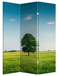 Paravan - Drvo na livadi (126x170 cm)