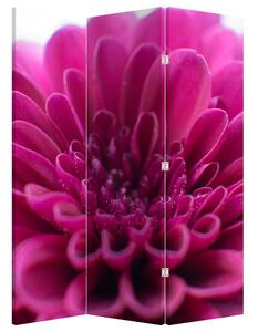 Paravan - Cvijet (126x170 cm)