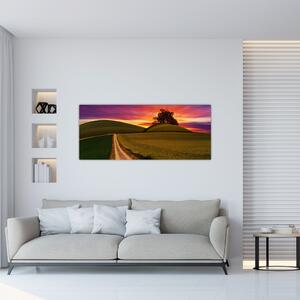 Slika polja sa zalaskom sunca (120x50 cm)