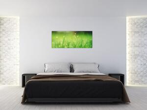 Slika - rosa na travi (120x50 cm)